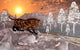 Pair Sabre Tooth Tigers Wall Decal