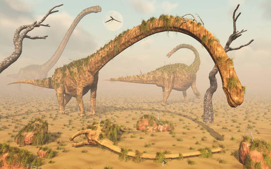 Living Fossilized Omeisaurus Sauropod Wall Decal Design 1