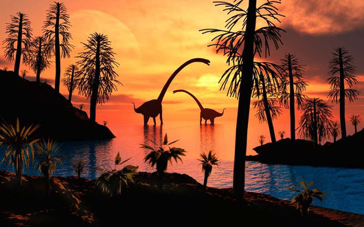 Pair Omeisaurus Dinosaurs from Wall Decal