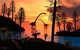 Pair Omeisaurus Dinosaurs from Wall Decal
