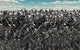 Large Gathering Robots about Wall Decal