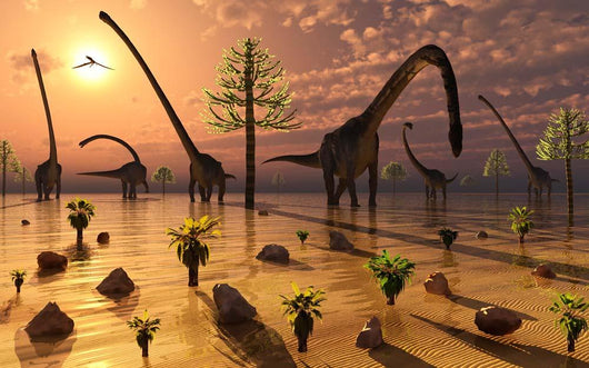 Herd Omeisaurus Dinosaurs Grazing Wall Decal