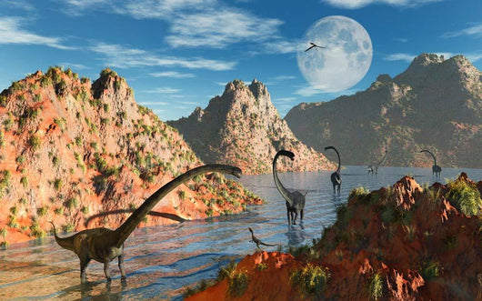 Herd Omeisaurus Dinosaurs Prehistoric Wall Decal Design 2