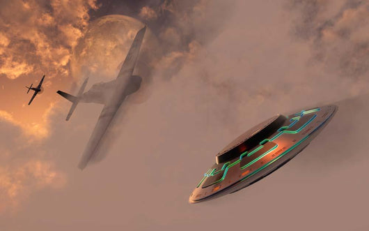 P-51 Mustang Gives Chases Wall Decal