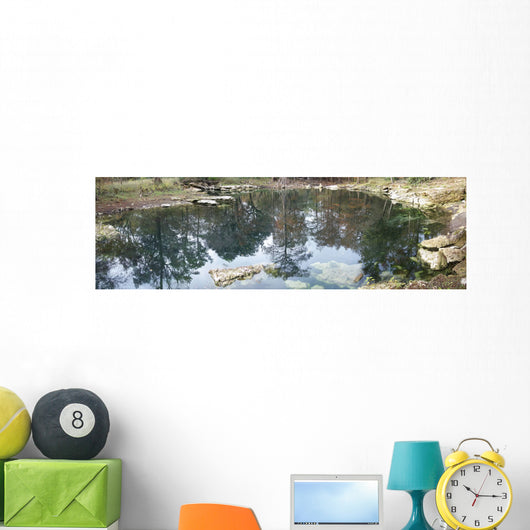 Peacock Springs United States Wall Decal