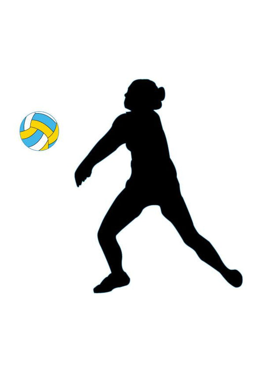 Volley Ball Silhouette Wall Decal