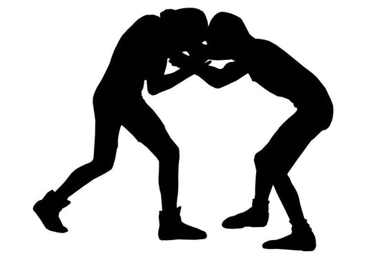 Boxing Silhouette Wall Decal