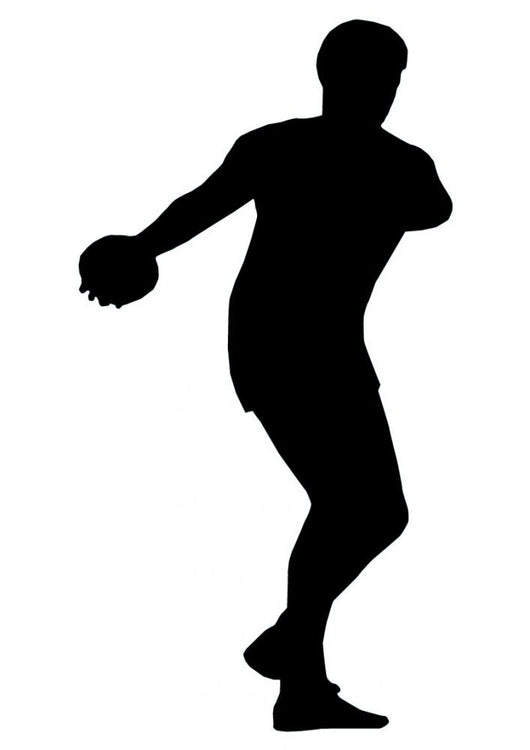 Discus Silhouettes Wall Decal