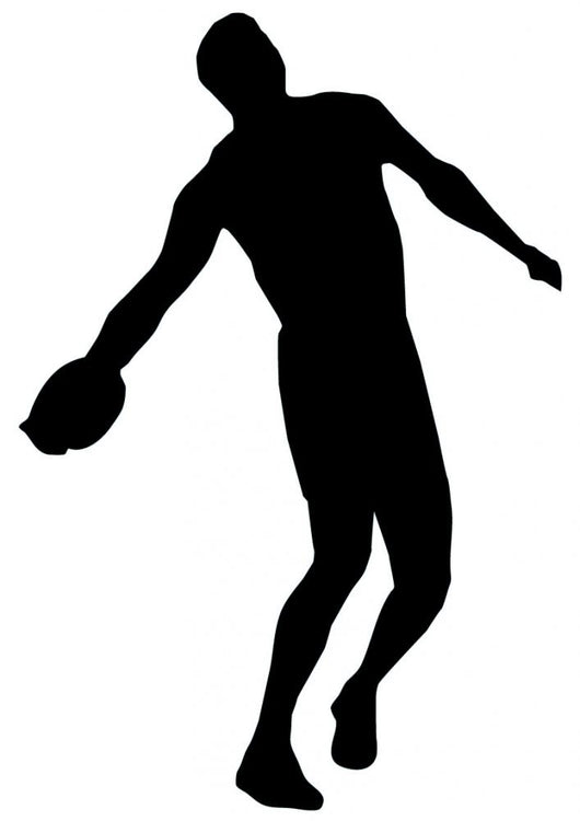 Discus Silhouettes Wall Decal