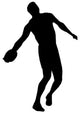 Discus Silhouettes Wall Decal