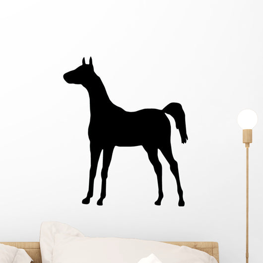 Little Colt Wall Decal