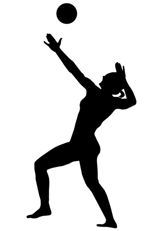 Volley Ball Silhouette Wall Decal