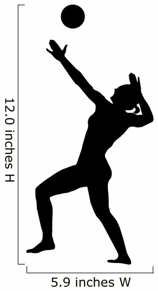 Volley Ball Silhouette Wall Decal
