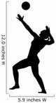 Volley Ball Silhouette Wall Decal