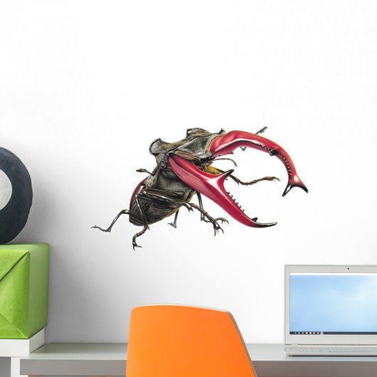Stag Beetle Climbing Wall Decal