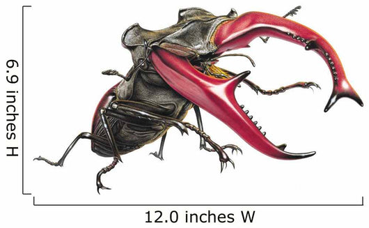 Stag Beetle Climbing Wall Decal