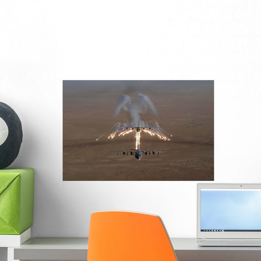 Aerial Shot over Iraq Wall Decal