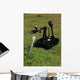 Talon Bomb Disposal Robot Wall Decal