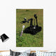 Talon Bomb Disposal Robot Wall Decal