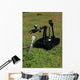 Talon Bomb Disposal Robot Wall Decal