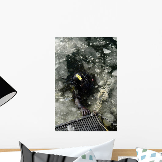 Us Navy Diver Swims Wall Decal