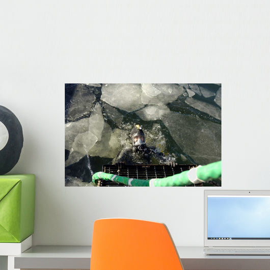 United States Navy Diver Wall Decal