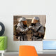 Iraqi Firefighter Double Checks Wall Decal