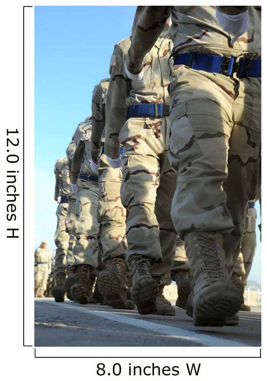 Iraqi Air Force Recruits Wall Decal
