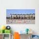 Candy Covers Parade Grounds Wall Decal