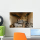 Us Soldiers Sleep Abandoned Wall Decal