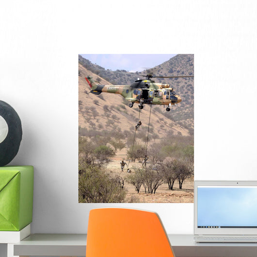 Hilean Special Forces Perform Wall Decal