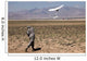 Us Army Soldier Launches Wall Decal Design 2