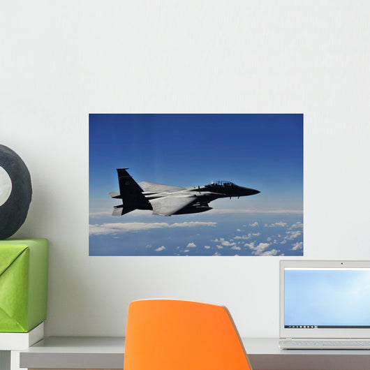 Us Air Force F-15e Wall Decal