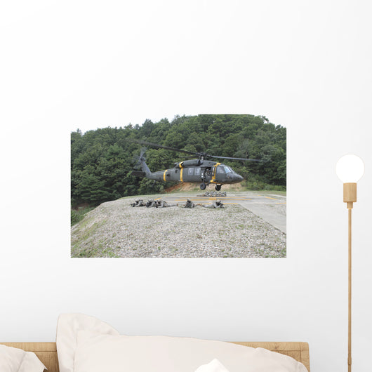 Wolfhounds Air Assault from Wall Decal