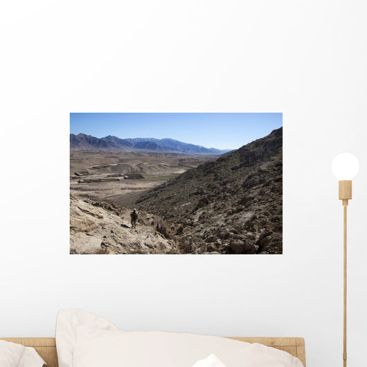 Us Marine Climbs Hill Wall Decal