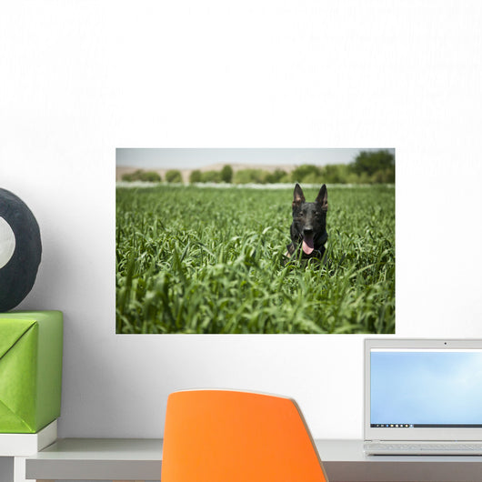 Military Working Dog Sits Wall Decal