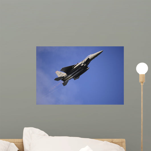Us Air Force F-15e Wall Decal