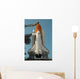 Space Shuttle Discovery Full Wall Decal