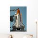 Space Shuttle Discovery Full Wall Decal
