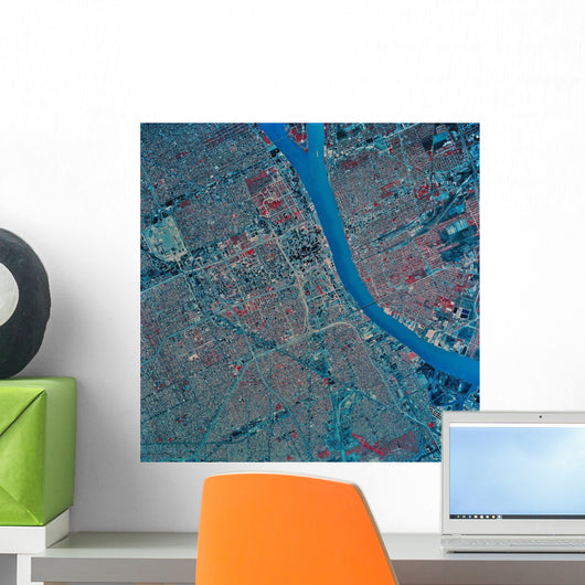 Satellite Detroit Michigan Wall Decal