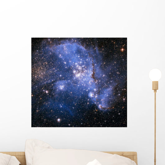 Small Magellanic Cloud Wall Decal
