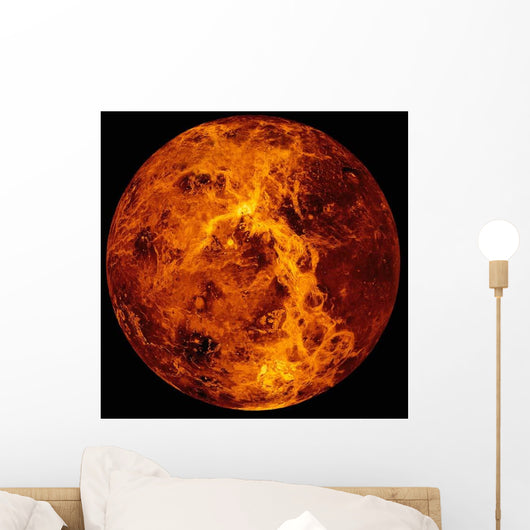 Venus Wall Decal