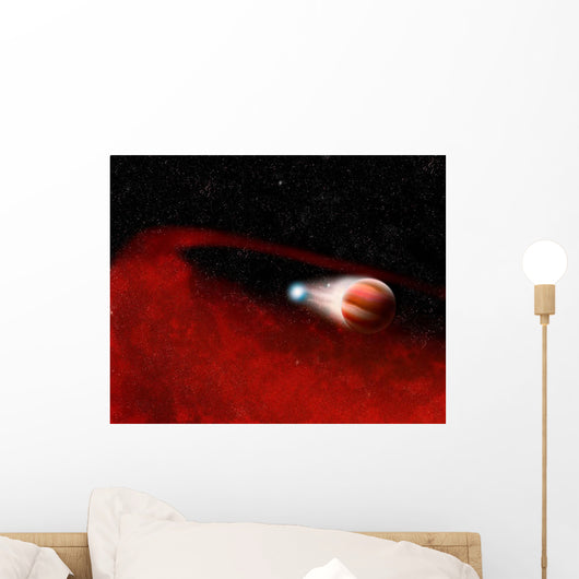 Debris Disk around Unusual Wall Decal