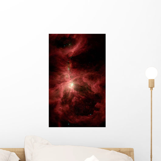 Orion's Inner Beauty Wall Decal