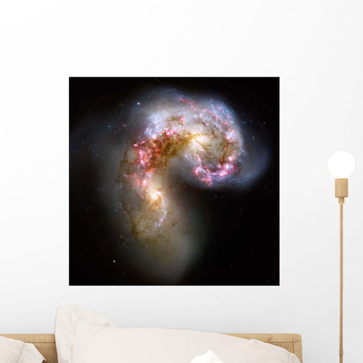 Antennae Galaxies Wall Decal