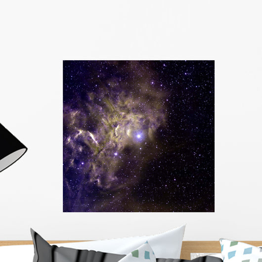 False-color Image Star Ae Wall Decal