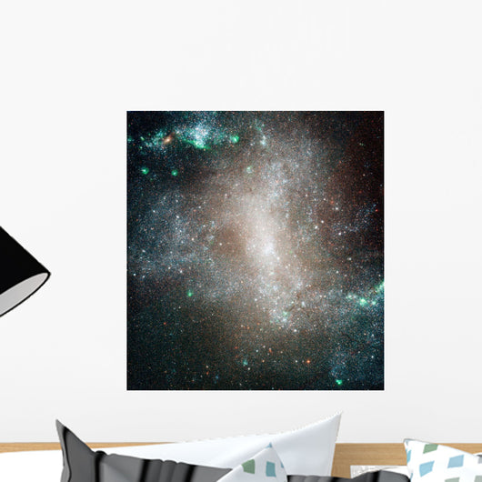 Central Region Barred Spiral Wall Decal