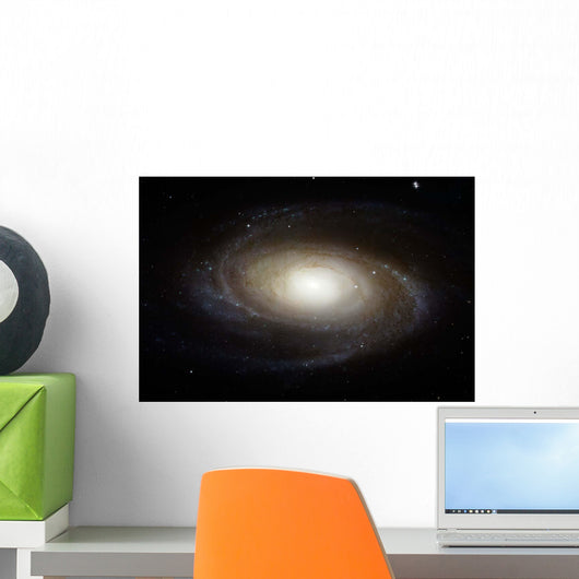 Spiral Galaxy M81 Wall Decal