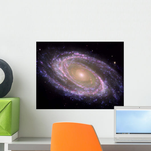 Spiral Galaxy Messier 81 Wall Decal