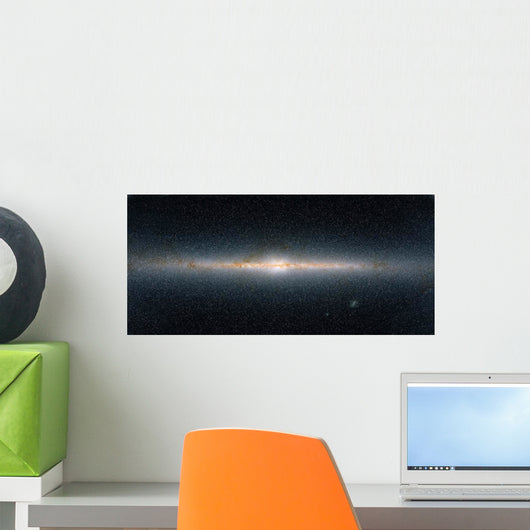 This Panoramic Encompasses Entire Wall Decal